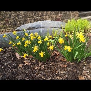 Meet your Posher, Danika