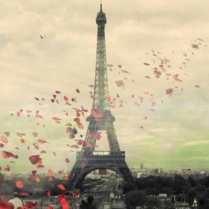 Meet your Posher, Lacey