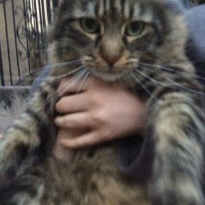 Meet your Posher, Faith