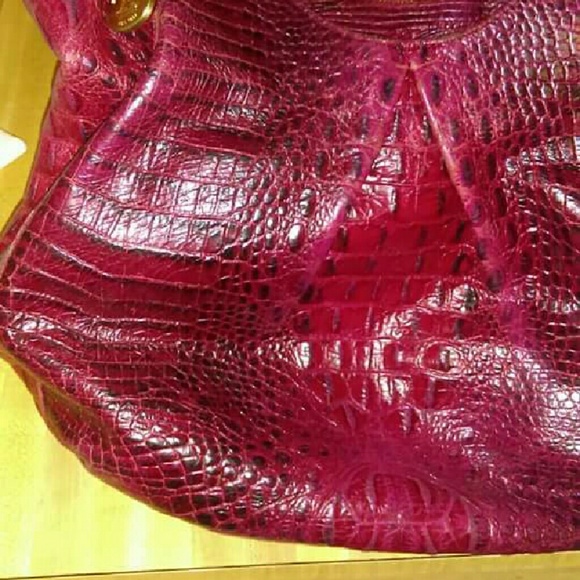 Brahmin - Picture 1 of 1