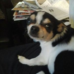 Meet your Posher, Melinda