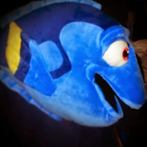 Meet your Posher, Maria