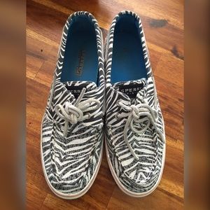 FLASH! Zebra Sperry's