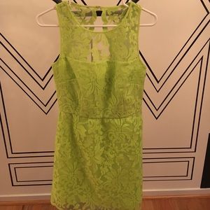Laundry by Shelli Segal lace dress