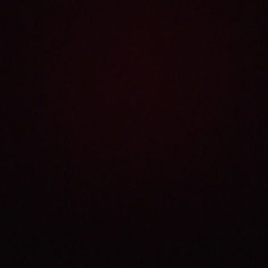 Meet your Posher, Nik