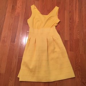New York and company dress, M