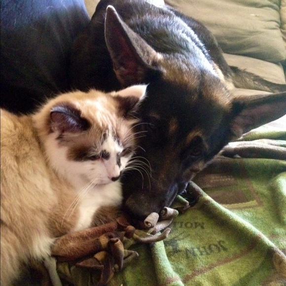 Meet your Posher, Tiffany - Picture 4 of 4