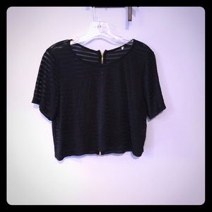 Black Sheer Striped Crop Top