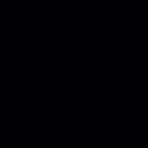 Meet your Posher, Sofia