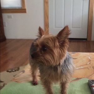 Meet your Posher, Denise