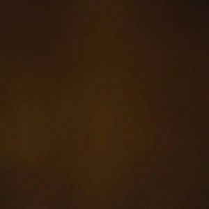 Meet your Posher, Willard