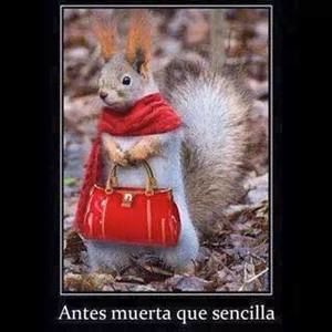 Meet your Posher, Dora