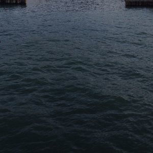 Meet your Posher, Isabella