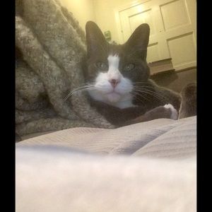 Meet your Posher, Lndsay