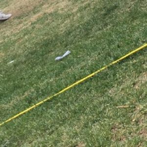 Meet your Posher, Anne