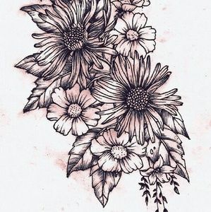 Meet your Posher, Cortney