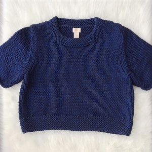 H&M Metallic Chunky Knit Cropped Sweater