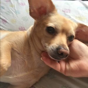 Meet your Posher, Irais