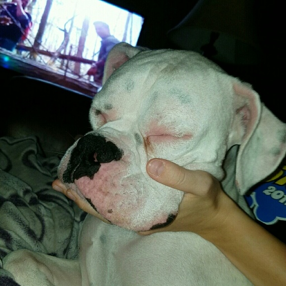 Meet your Posher, Sarah - Picture 1 of 1