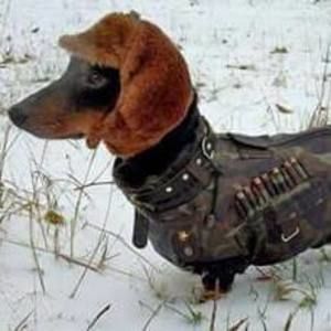 Meet your Posher, Anna maria