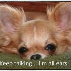 Meet your Posher, Debbie