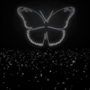 Meet your Posher, Anne