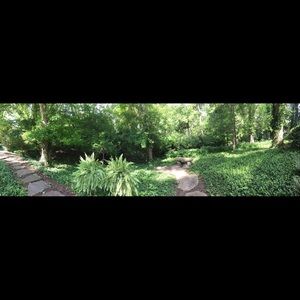 Meet your Posher, Mia