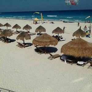 Meet your Posher, Virgie