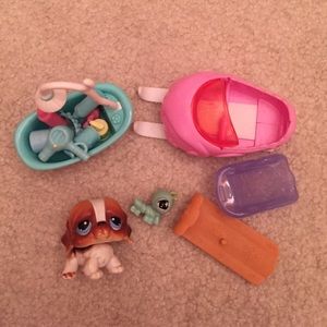 St. Bernard lps and accesories