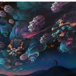 Meet your Posher, Miguel