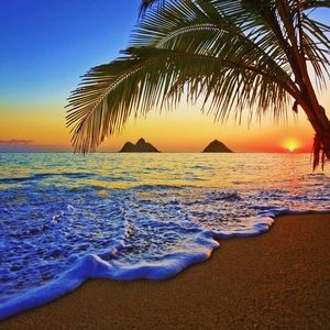 Meet your Posher, Jacklyn