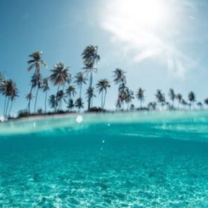 Meet your Posher, Veronica