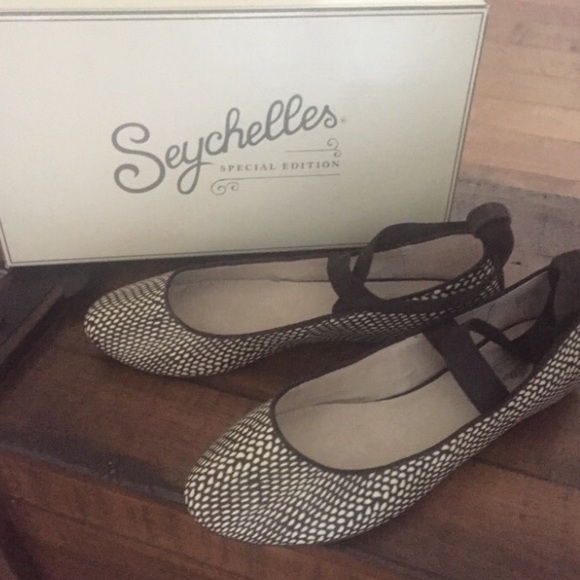 Seychelles flats
