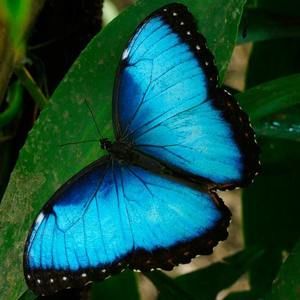 Meet your Posher, Noemi