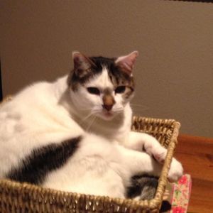 Meet your Posher, Claudine