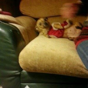 Meet your Posher, Sheila