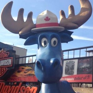 Meet your Posher, Louise