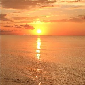 Meet your Posher, Mackenzie