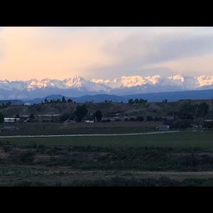 Meet your Posher, Molly