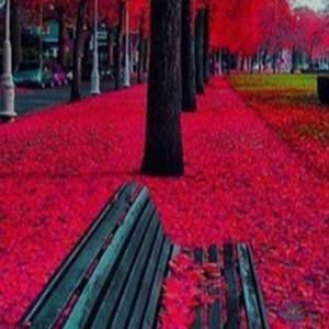 Meet your Posher, Candice