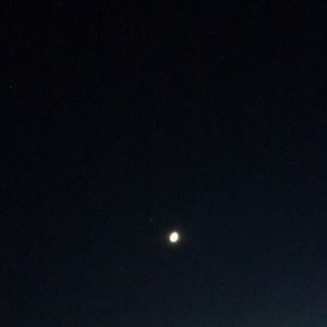 Meet your Posher, Reba