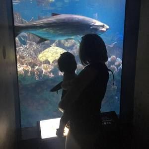 Meet your Posher, Kim