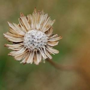 Meet your Posher, Sandy