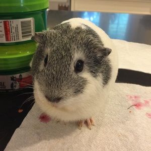 Meet your Posher, Catherine