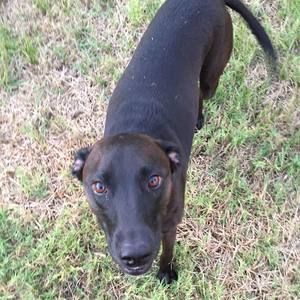 Meet your Posher, Becky