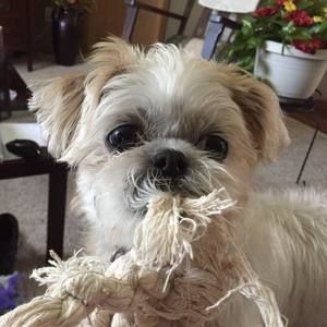 Meet your Posher, Renee