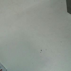 Meet your Posher, Marcia