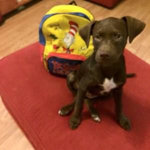 Meet your Posher, Kristen