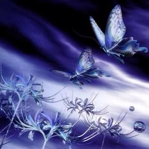 Meet your Posher, Christy