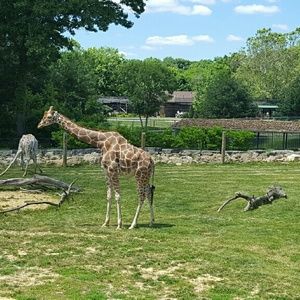 Meet your Posher, Romeka